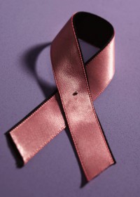 The Pink Breast Cancer Awareness Ribbon