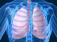 Lung Cancer On The Decline