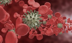 Building Your Immune System to Fight Cancer