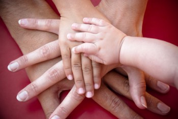 Four hands of the family,  a baby, a daughter,  a mother and a father. Concept of unity, support, protection and happiness.
