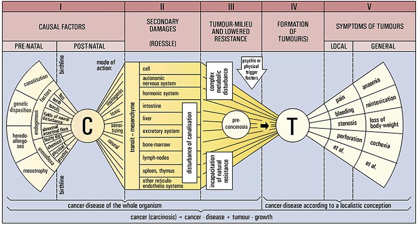 Issels Concept of Cancer Development and Treatment Chart