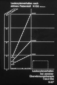 HolisticTable7